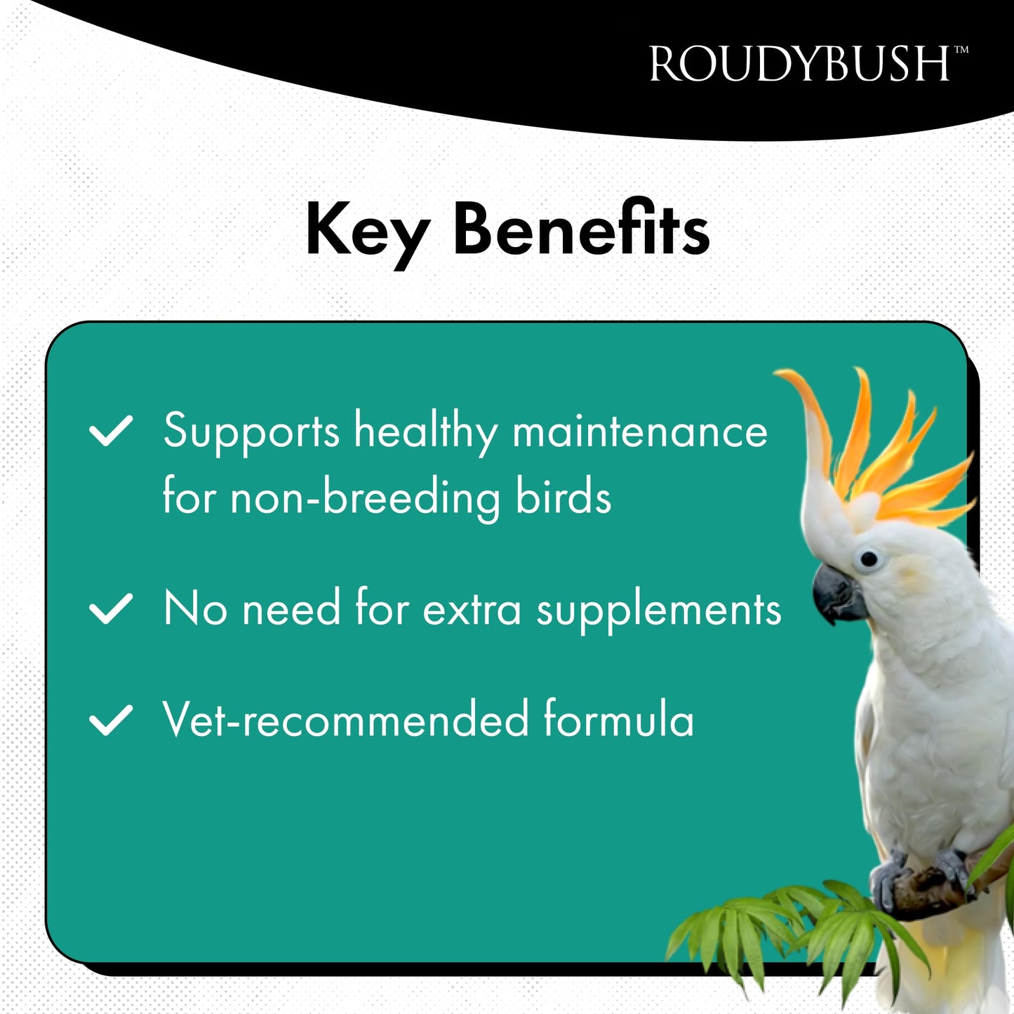 RoudyBush Daily Maintenance Food for Birds, Bird Food with Corn, Wheat & Soy, Complete Daily Feed for Parakeets, Cockatiels, Conures, Lovebirds & Other Small Medium Species, Crumble Pellets, 8 OZ