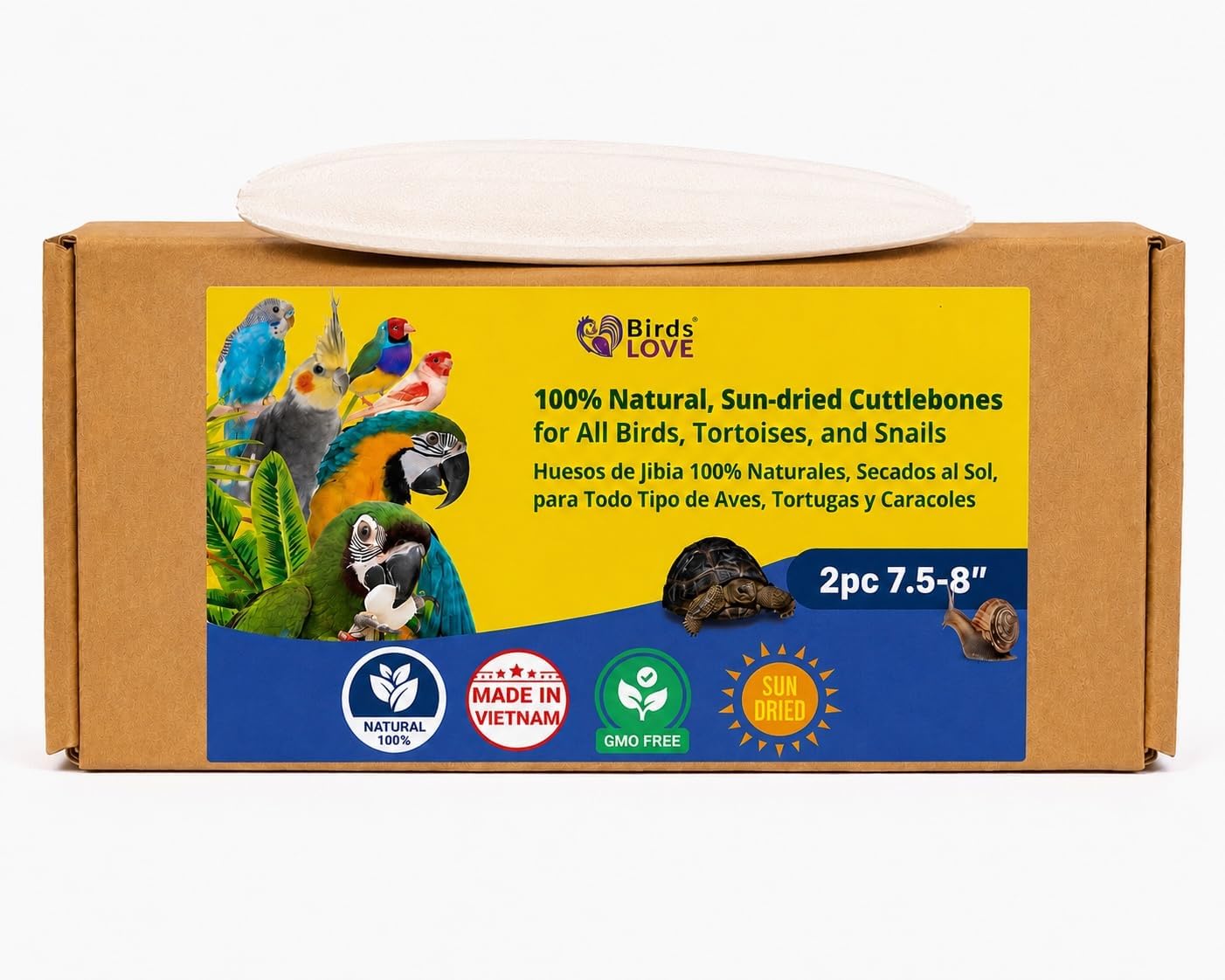 Birds LOVE 3.5-4″ Cuttlebone for Birds – 100% Natural Sun-Dried Calcium & Beak Conditioning Supplement for Parakeets, Budgies, Cockatiels, Finches & Canaries – 4 Pack with Holder – Made in Vietnam