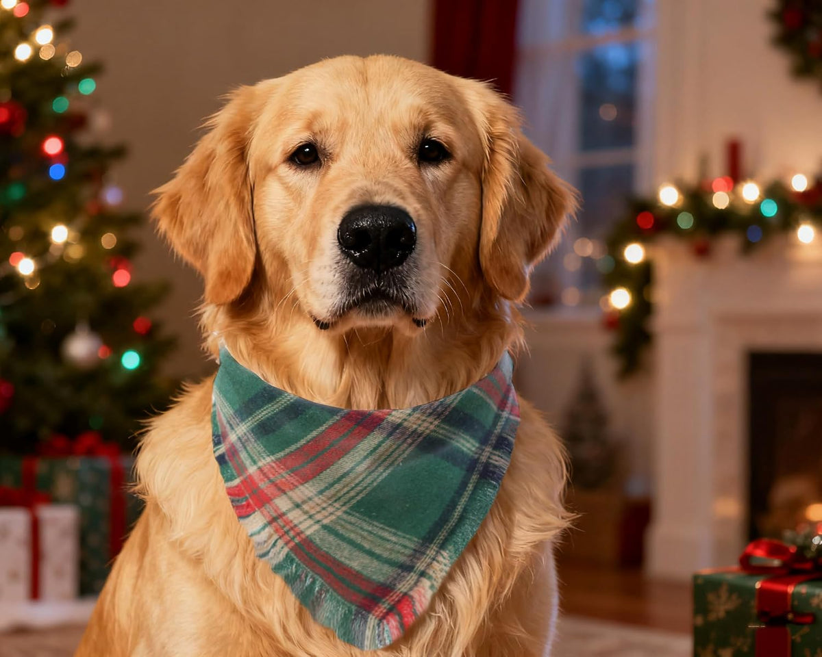 Christmas Dog Bandanas 2PCS-Large,Red-Green Plaid Scarf w/Tassels for Dogs