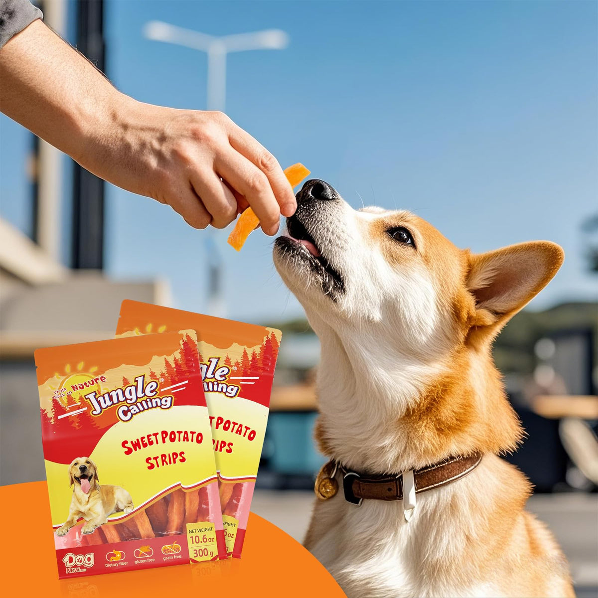 Jungle Calling Chicken & Sweet Potato Treats, Fiber-Rich, Digestible Chews