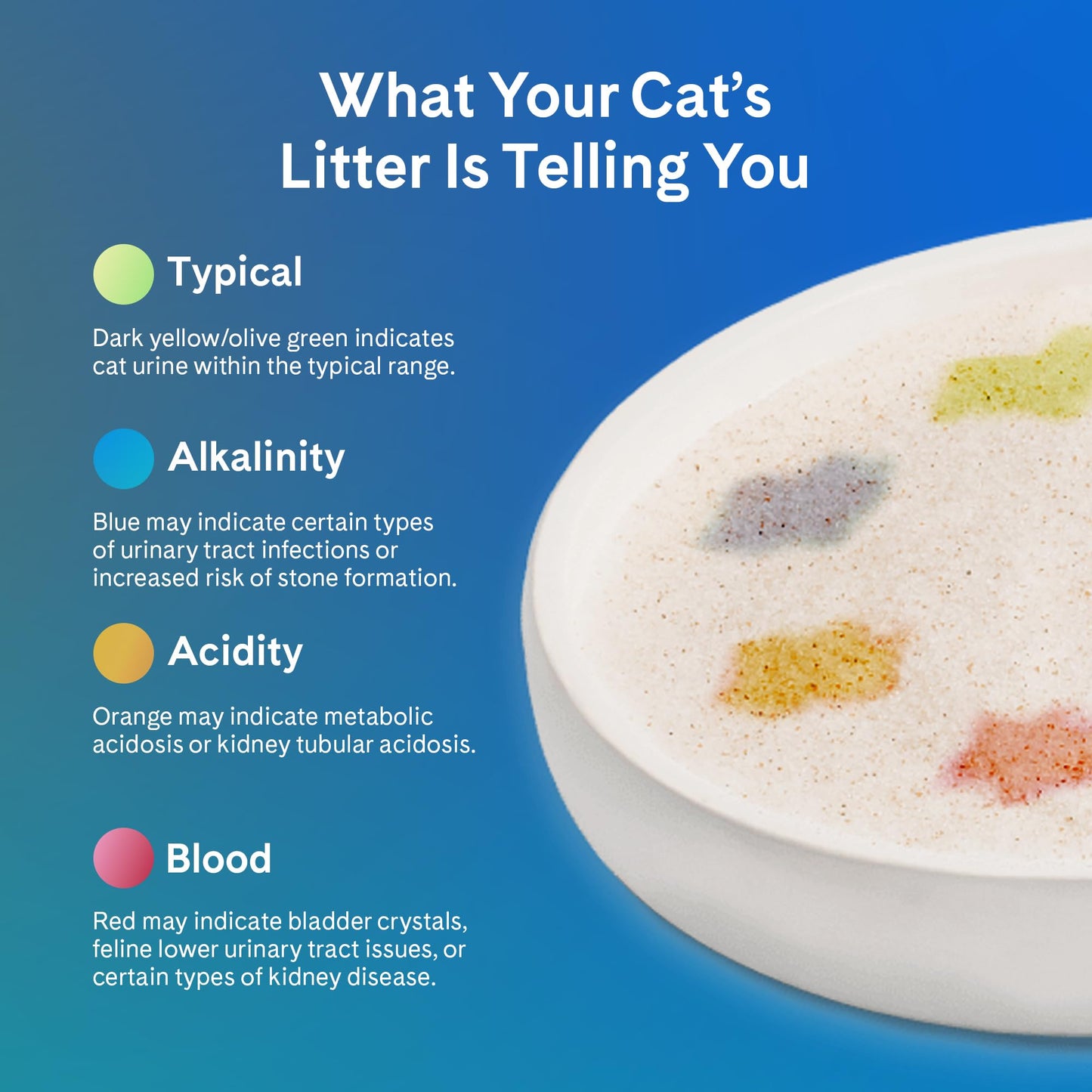 PrettyLitter Health Monitoring Cat Litter (Unscented, Non Clumping) | Lightweight & Low Tracking, Color Changing Silica Gel Crystals, Advanced Odor Control — 6 Lbs, Pack of 2 (Up to 2 Month Supply)