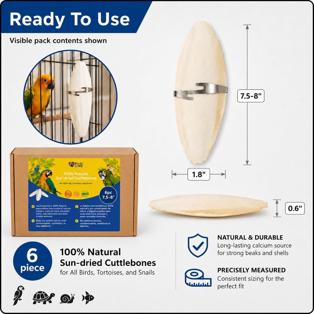 Birds LOVE 3.5-4″ Cuttlebone for Birds – 100% Natural Sun-Dried Calcium & Beak Conditioning Supplement for Parakeets, Budgies, Cockatiels, Finches & Canaries – 4 Pack with Holder – Made in Vietnam