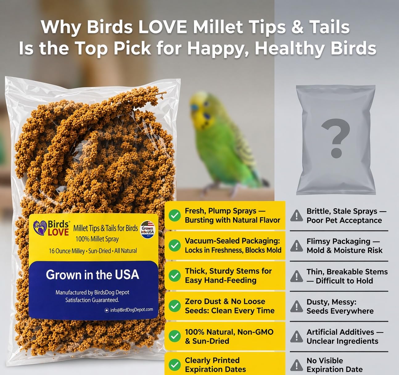 Birds LOVE® Millet Tips & Tails for Birds – Premium Spray Millet Treat, Grown in the USA – Natural & Healthy Bird Food for Parakeets, Cockatiels, Budgies, Lovebirds, Finches, Canaries & Parrots – 1 lb
