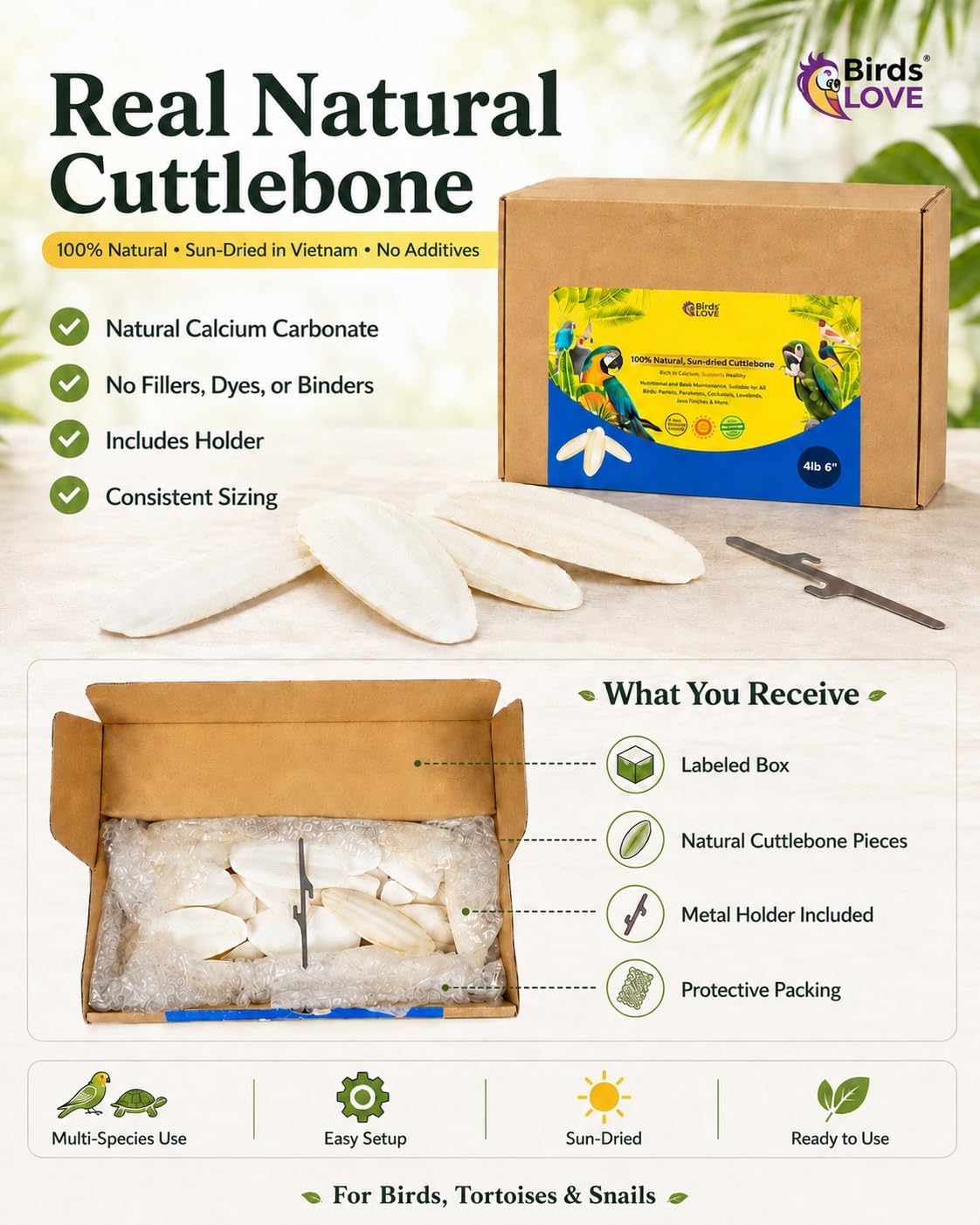 Birds LOVE 3.5-4″ Cuttlebone for Birds – 100% Natural Sun-Dried Calcium & Beak Conditioning Supplement for Parakeets, Budgies, Cockatiels, Finches & Canaries – 4 Pack with Holder – Made in Vietnam