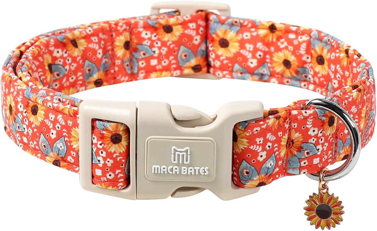 Maca Bates Halloween Pink and Purple Ghost Dog Collar for Large Dogs