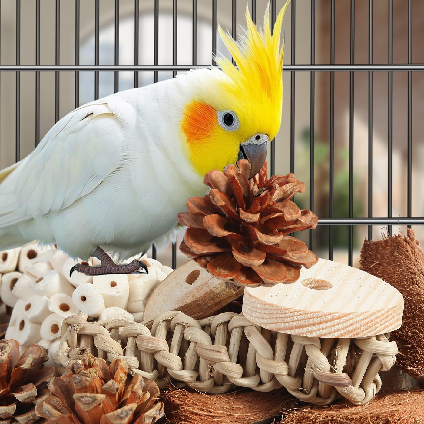 Kyouki Bird Toys Parrot Toys Natural Bird Foraging Box Foot for Parakeets,Cockatiels,Conures,Love Birds,and Other Small to Medium Birds (Medium)