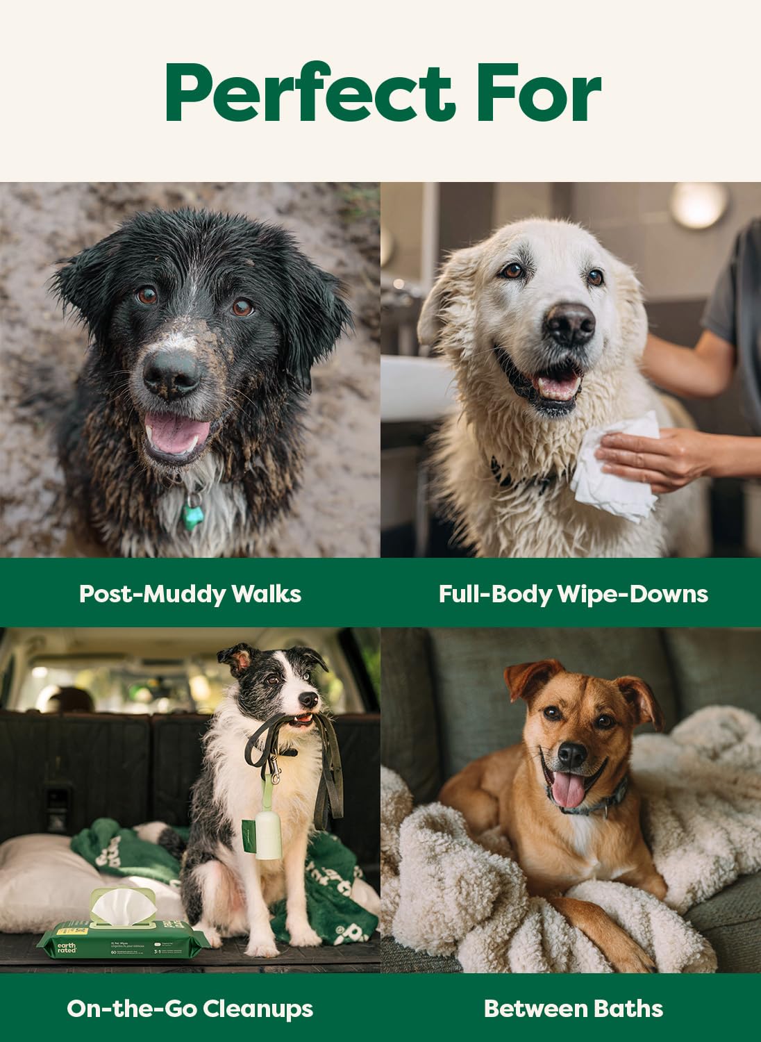 Earth Rated Pet Wipes for Dogs and Cats, Hypoallergenic, 3-in-1 Cleaning, Deodorizing and Hydrating, for Grooming Paws, Body and Butt, Unscented, 100 Count