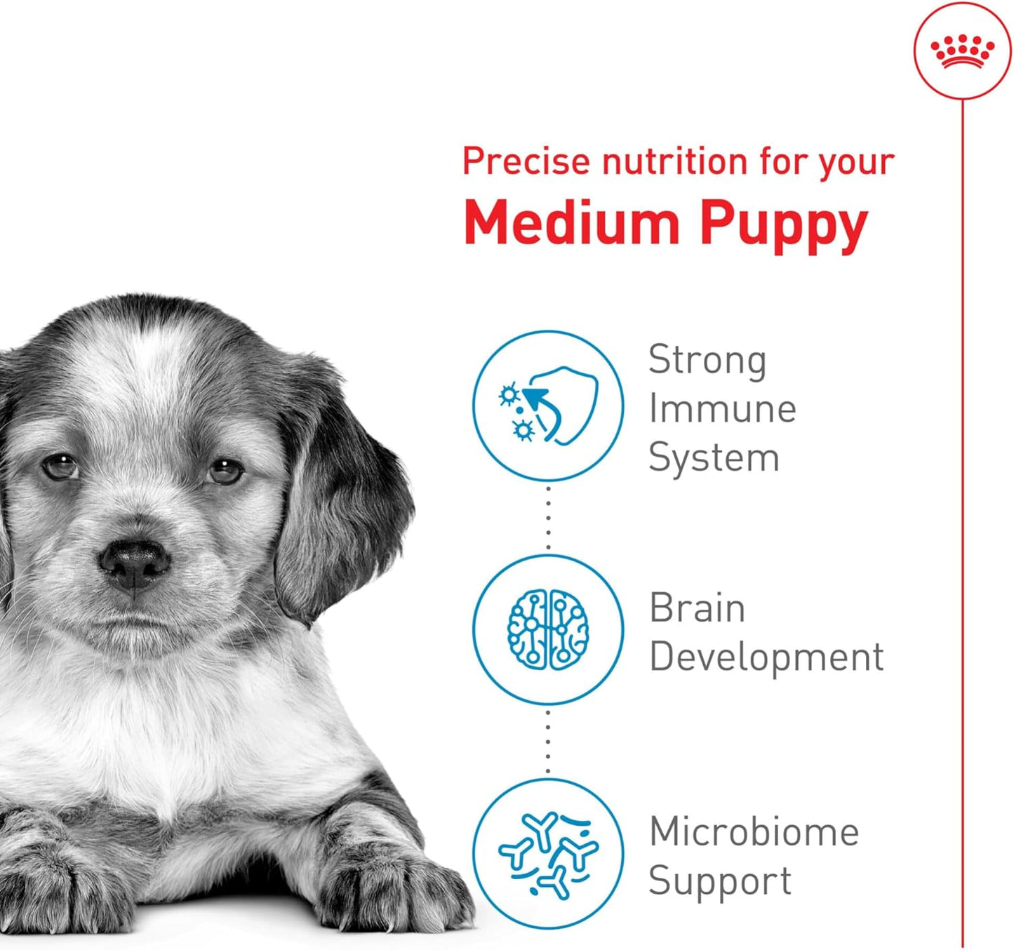 Royal Canin Size Health Nutrition Medium Puppy Dry Dog Food, 4 lb Bag