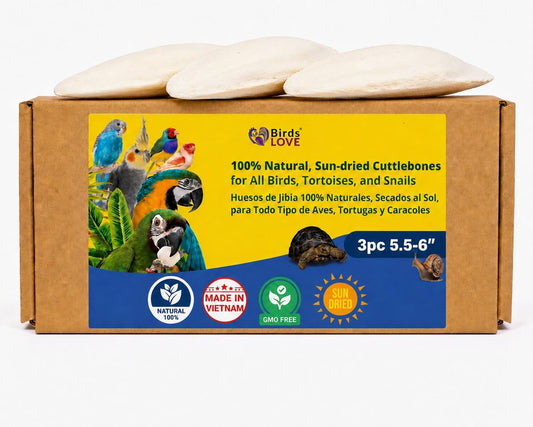 Birds LOVE 3.5-4″ Cuttlebone for Birds – 100% Natural Sun-Dried Calcium & Beak Conditioning Supplement for Parakeets, Budgies, Cockatiels, Finches & Canaries – 4 Pack with Holder – Made in Vietnam