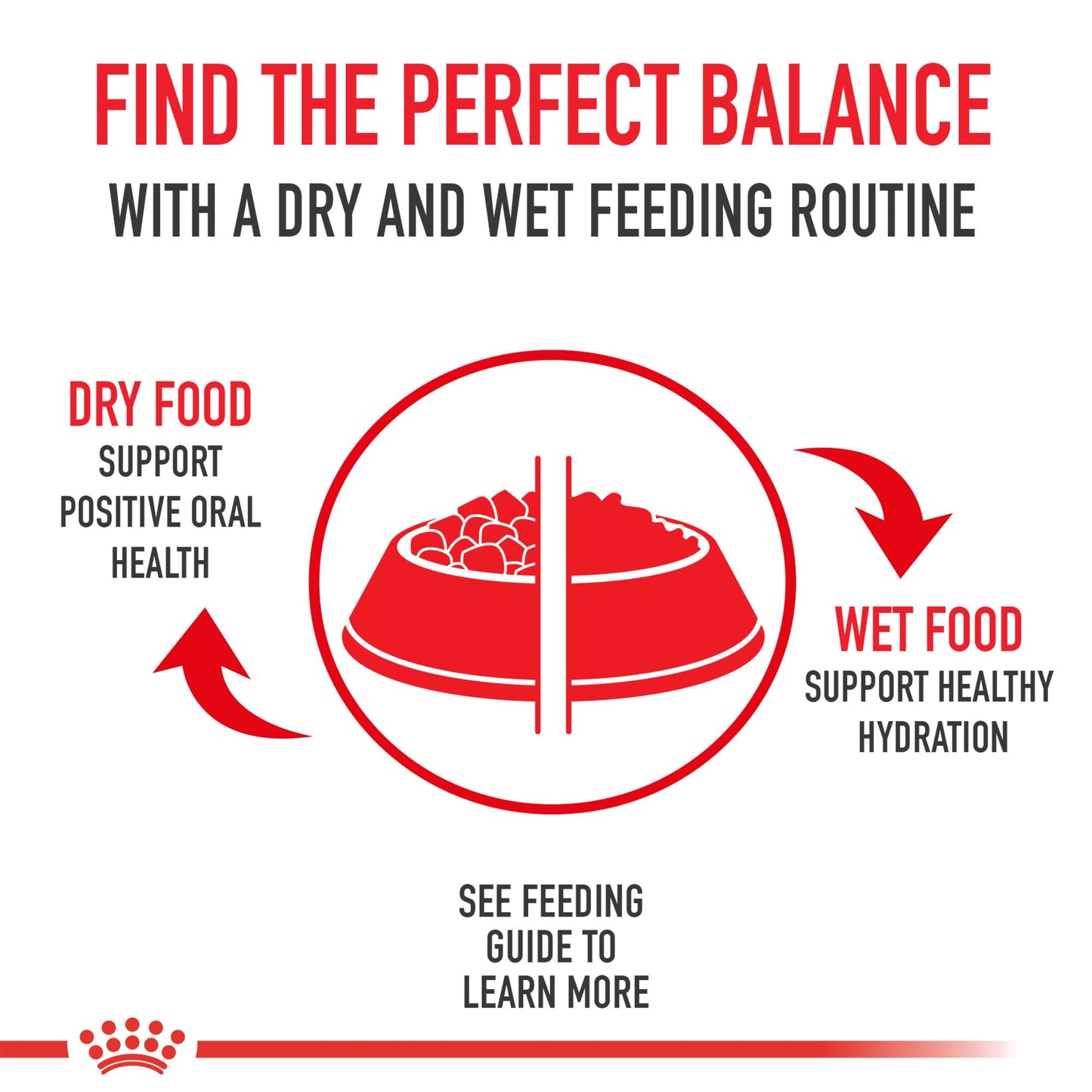 Royal Canin Size Health Nutrition Large Adult Dry Dog Food, 4 lb Bag