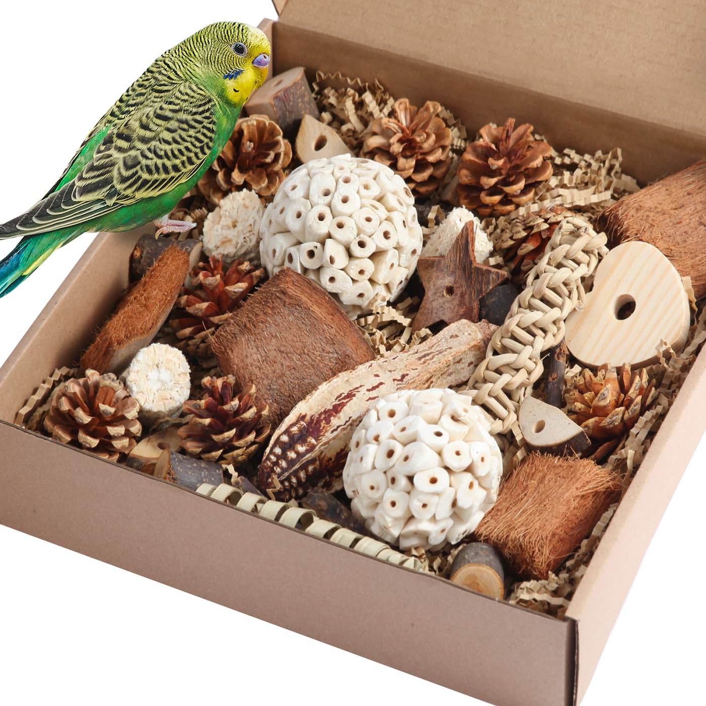 Kyouki Bird Toys Parrot Toys Natural Bird Foraging Box Foot for Parakeets,Cockatiels,Conures,Love Birds,and Other Small to Medium Birds (Medium)