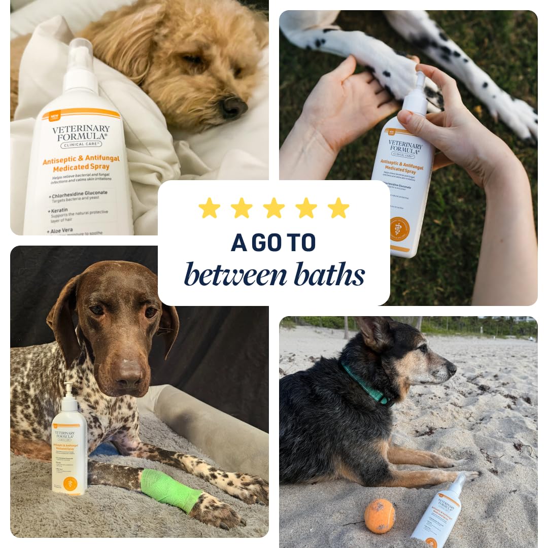 Veterinary Formula Clinical Care Antiseptic & Antifungal Medicated Shampoo and Spray for Dogs and Cats - Helps Alleviate Scaly, Greasy, or Red Skin - Paraben, Dye, and Soap Free, 2 Pack Bundle
