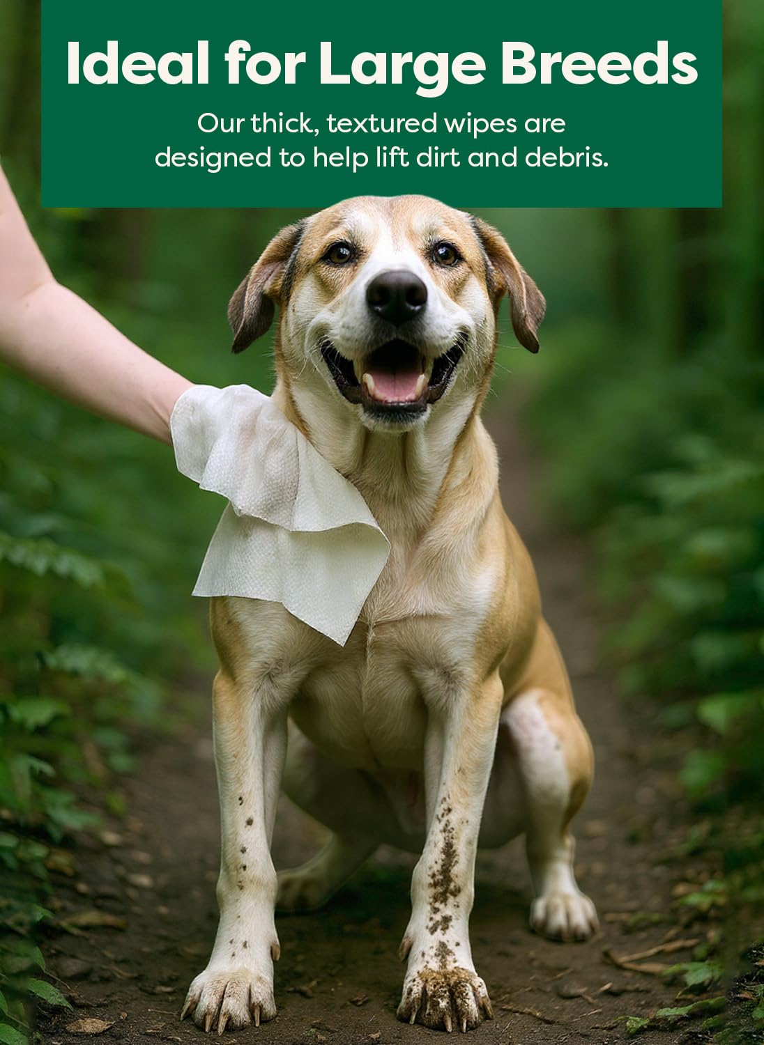 Earth Rated Pet Wipes for Dogs and Cats, Hypoallergenic, 3-in-1 Cleaning, Deodorizing and Hydrating, for Grooming Paws, Body and Butt, Unscented, 100 Count