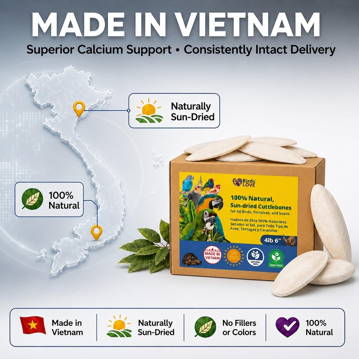 Birds LOVE 3.5-4″ Cuttlebone for Birds – 100% Natural Sun-Dried Calcium & Beak Conditioning Supplement for Parakeets, Budgies, Cockatiels, Finches & Canaries – 4 Pack with Holder – Made in Vietnam