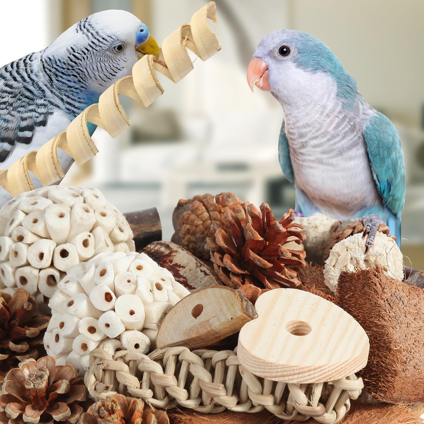 Kyouki Bird Toys Parrot Toys Natural Bird Foraging Box Foot for Parakeets,Cockatiels,Conures,Love Birds,and Other Small to Medium Birds (Medium)