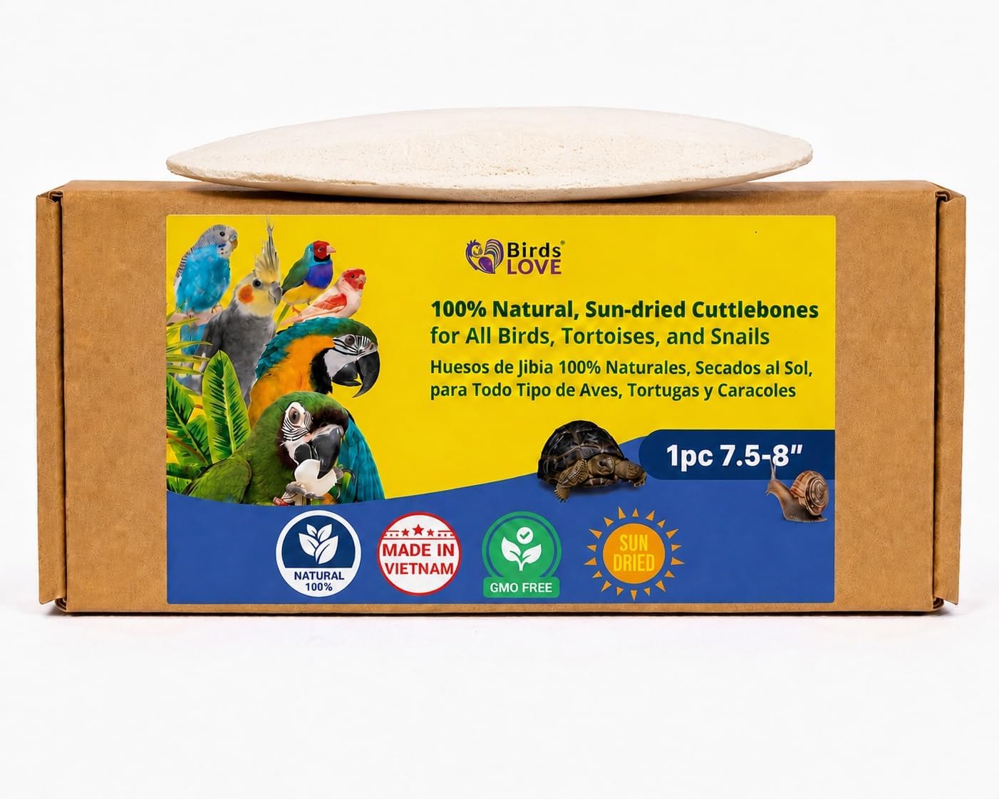 Birds LOVE 3.5-4″ Cuttlebone for Birds – 100% Natural Sun-Dried Calcium & Beak Conditioning Supplement for Parakeets, Budgies, Cockatiels, Finches & Canaries – 4 Pack with Holder – Made in Vietnam