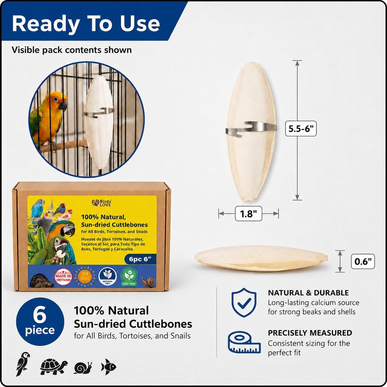 Birds LOVE 3.5-4″ Cuttlebone for Birds – 100% Natural Sun-Dried Calcium & Beak Conditioning Supplement for Parakeets, Budgies, Cockatiels, Finches & Canaries – 4 Pack with Holder – Made in Vietnam