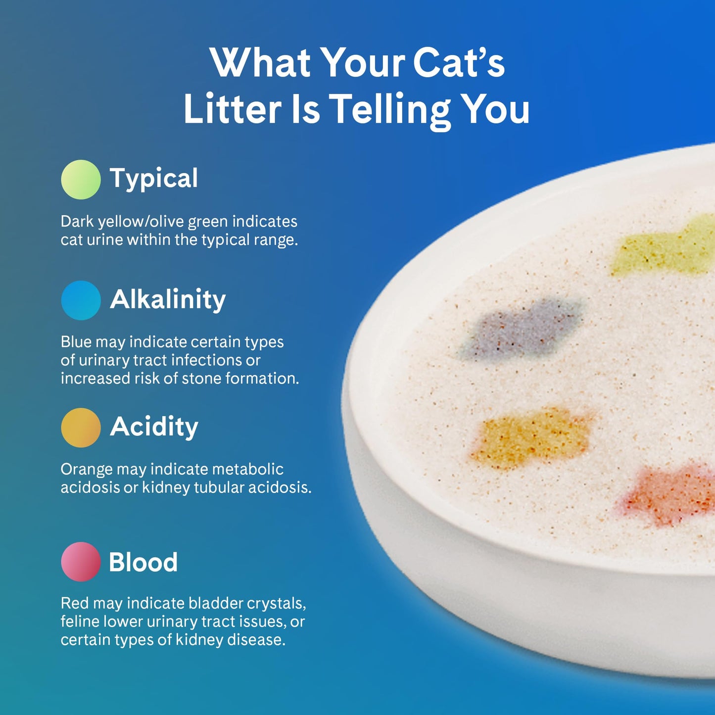 PrettyLitter Health Monitoring Cat Litter (Unscented, Non Clumping) | Lightweight & Low Tracking, Color Changing Silica Gel Crystals, Advanced Odor Control — 6 Lbs, Pack of 2 (Up to 2 Month Supply)