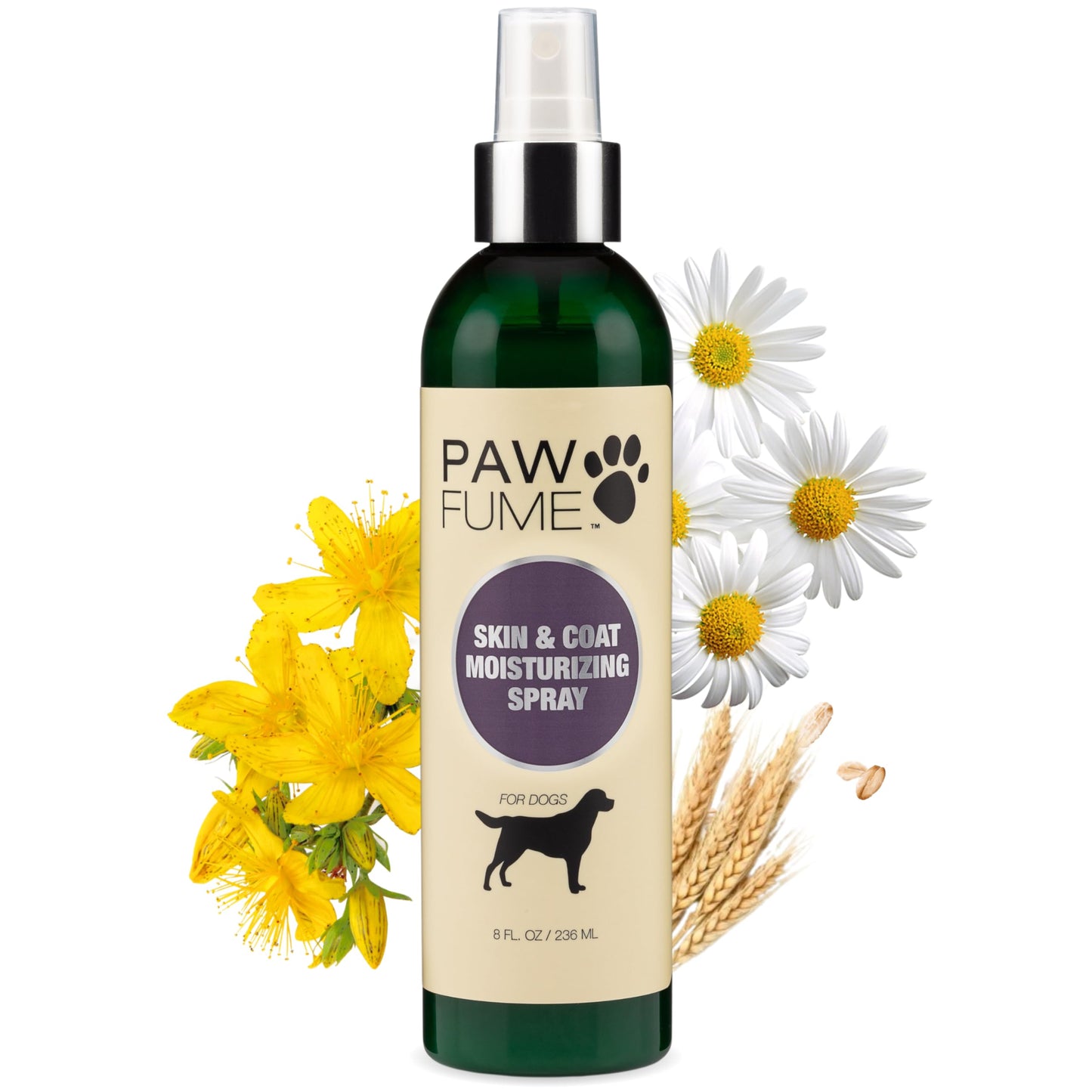 PAWFUME Deshedding Dog Shampoo and Conditioner, Show Dog, 1-Pack – Nourish & Detangle for Silky Soft Coat – Probiotic, Deep-Cleaning, pH-Balanced Formula – Salon-Quality Shampoo for Dogs