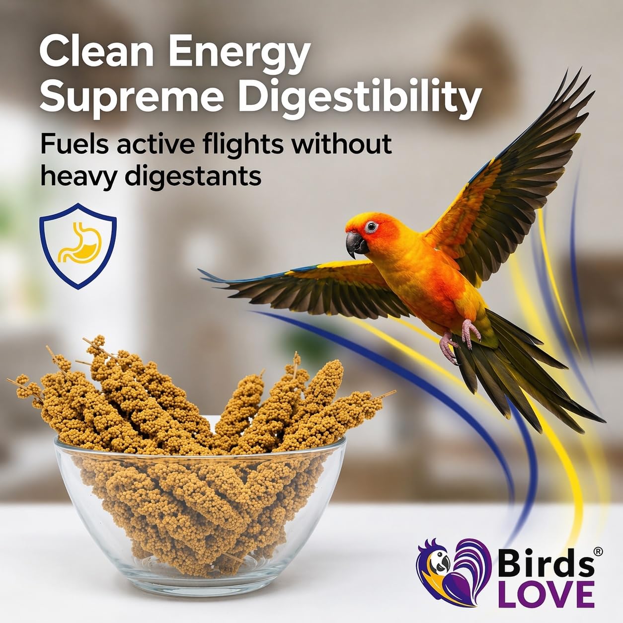 Birds LOVE® Millet Tips & Tails for Birds – Premium Spray Millet Treat, Grown in the USA – Natural & Healthy Bird Food for Parakeets, Cockatiels, Budgies, Lovebirds, Finches, Canaries & Parrots – 1 lb