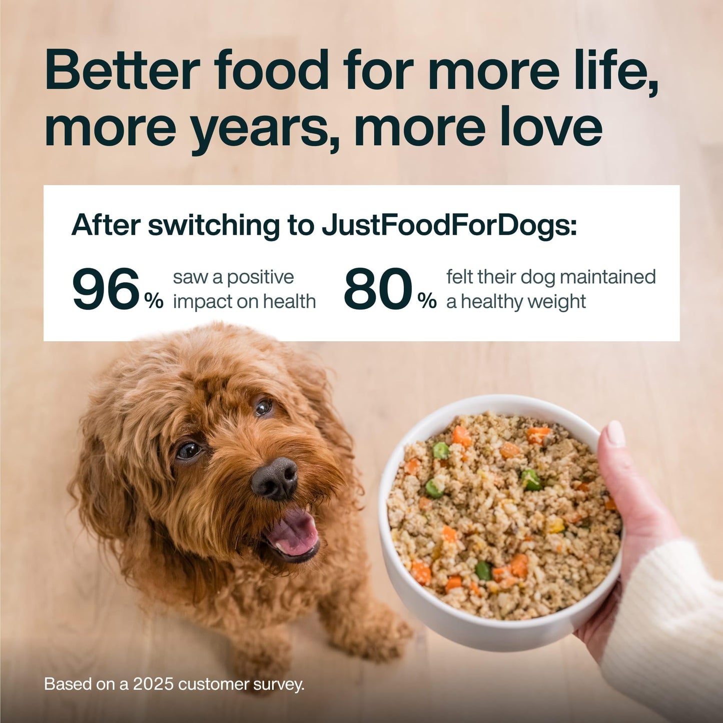 JustFoodForDogs JustFresh Wet Dog Food, Fresh Pet Meals and Toppers with No Preservatives, Resealable Package, Human Grade, Home-Cooked Chicken, 12 oz - 7 Pack