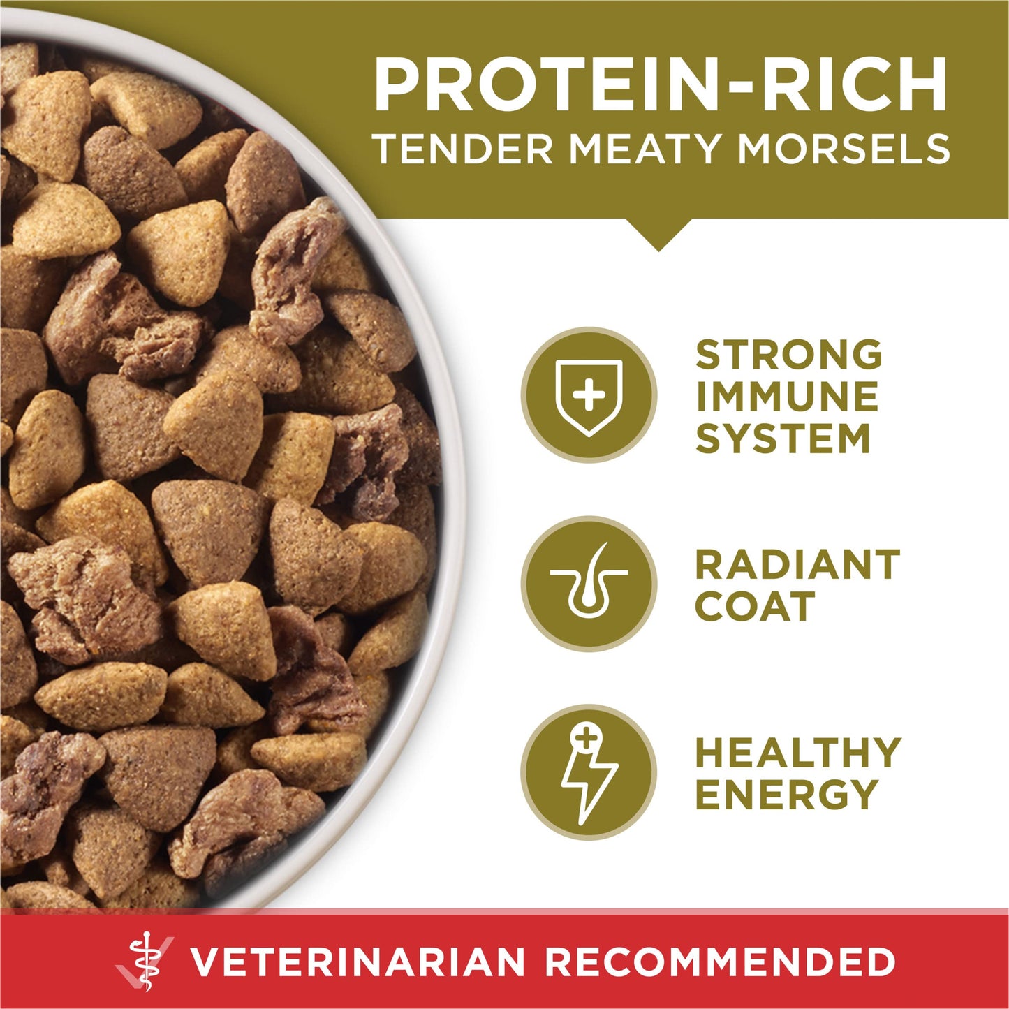 Purina ONE Dry Dog Food Lamb and Rice Formula - 40 lb. Bag