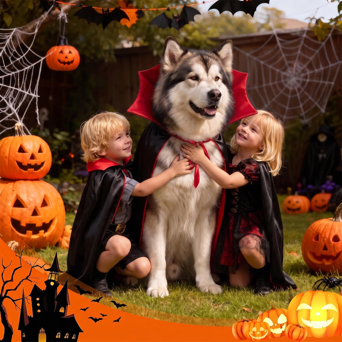 Olanrun Dog Costume - Dog Halloween Costumes Vampire Cloak, Wizard Outfit, Witch Cosplay Apparel Cape - Funny Party Dress Up Halloween Pet Costumes for Small Dogs, Cats (Black Red)
