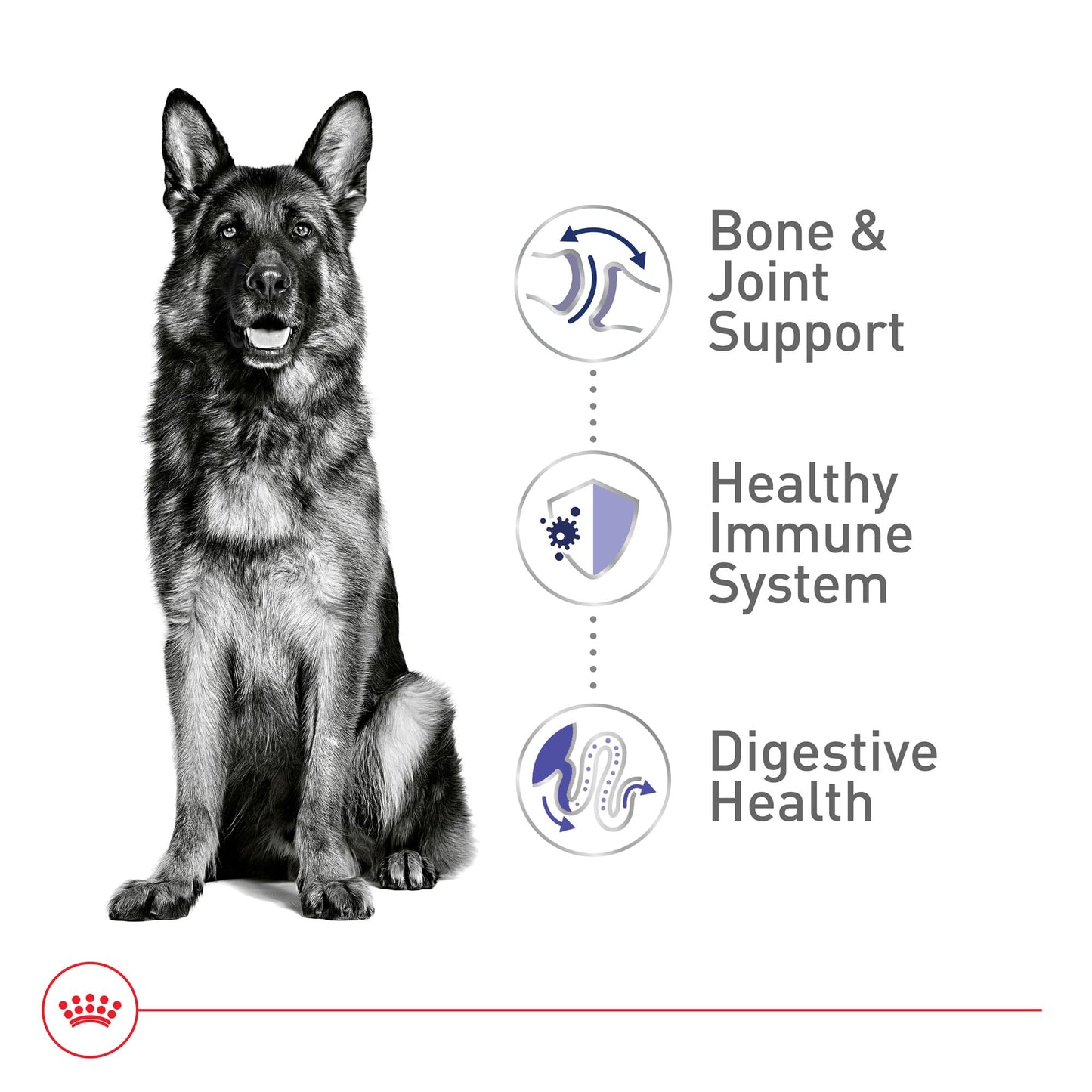 Royal Canin Size Health Nutrition Large Adult Dry Dog Food, 4 lb Bag