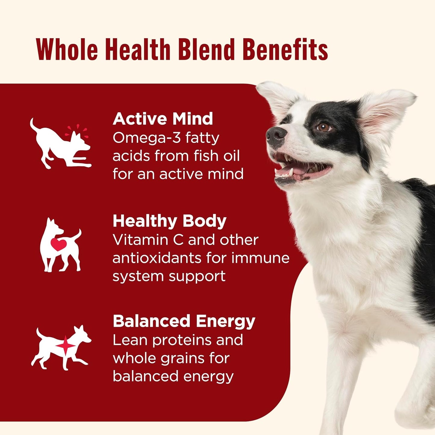 Nutrish Real Beef & Pumpkin Recipe Whole Health Blend Premium Paté Wet Dog Food, 13 oz. Can, 12 Count, Packaging May Vary (Rachael Ray)