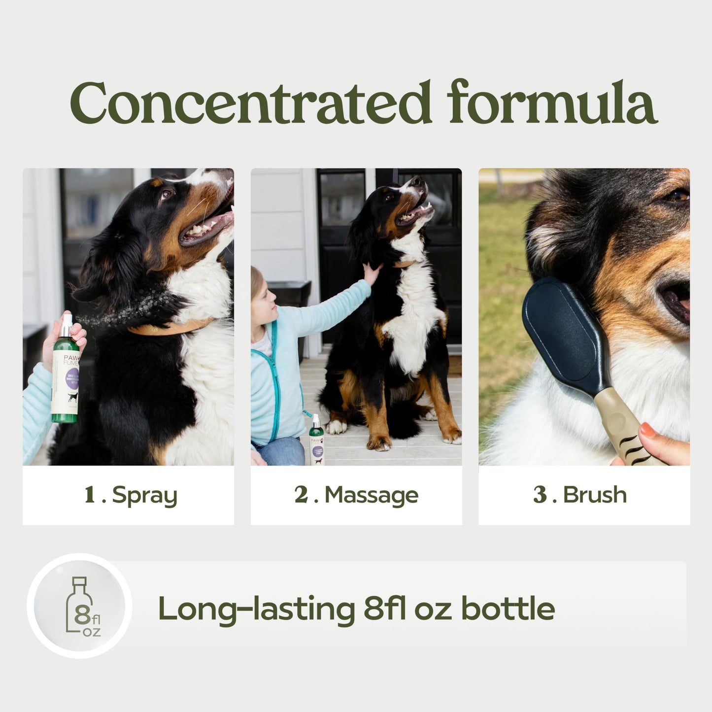 PAWFUME Deshedding Dog Shampoo and Conditioner, Show Dog, 1-Pack – Nourish & Detangle for Silky Soft Coat – Probiotic, Deep-Cleaning, pH-Balanced Formula – Salon-Quality Shampoo for Dogs