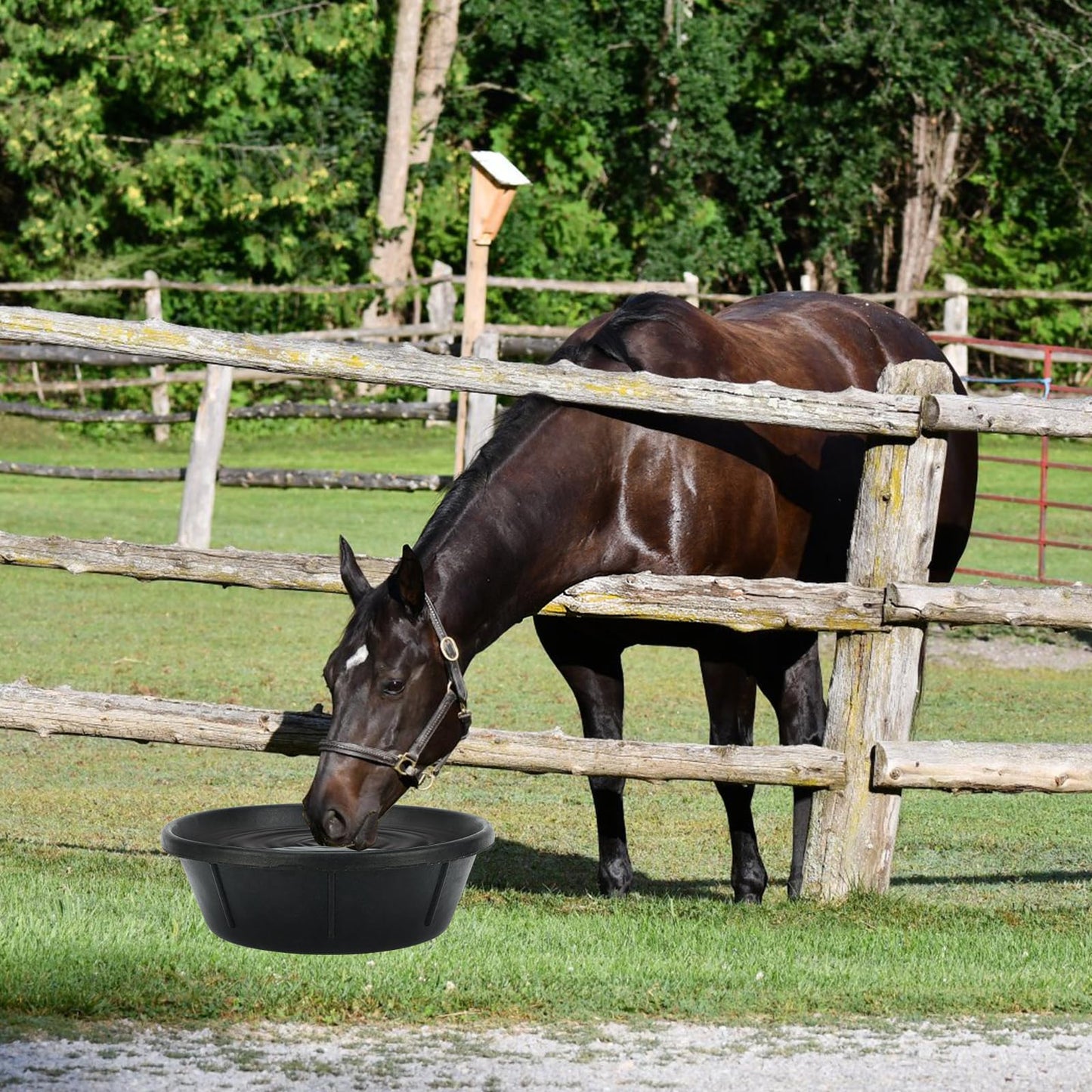 2Pcs Rubber Feed Pan, 1 Gallon Horse Feed Bucket Utility Feed Bucket, 10.6 x 4.1Inches Rubber Bowl Chicken Dust Bath Livestock Water Bowl for Pig Goat Chicken Dogs Farm Small Animal