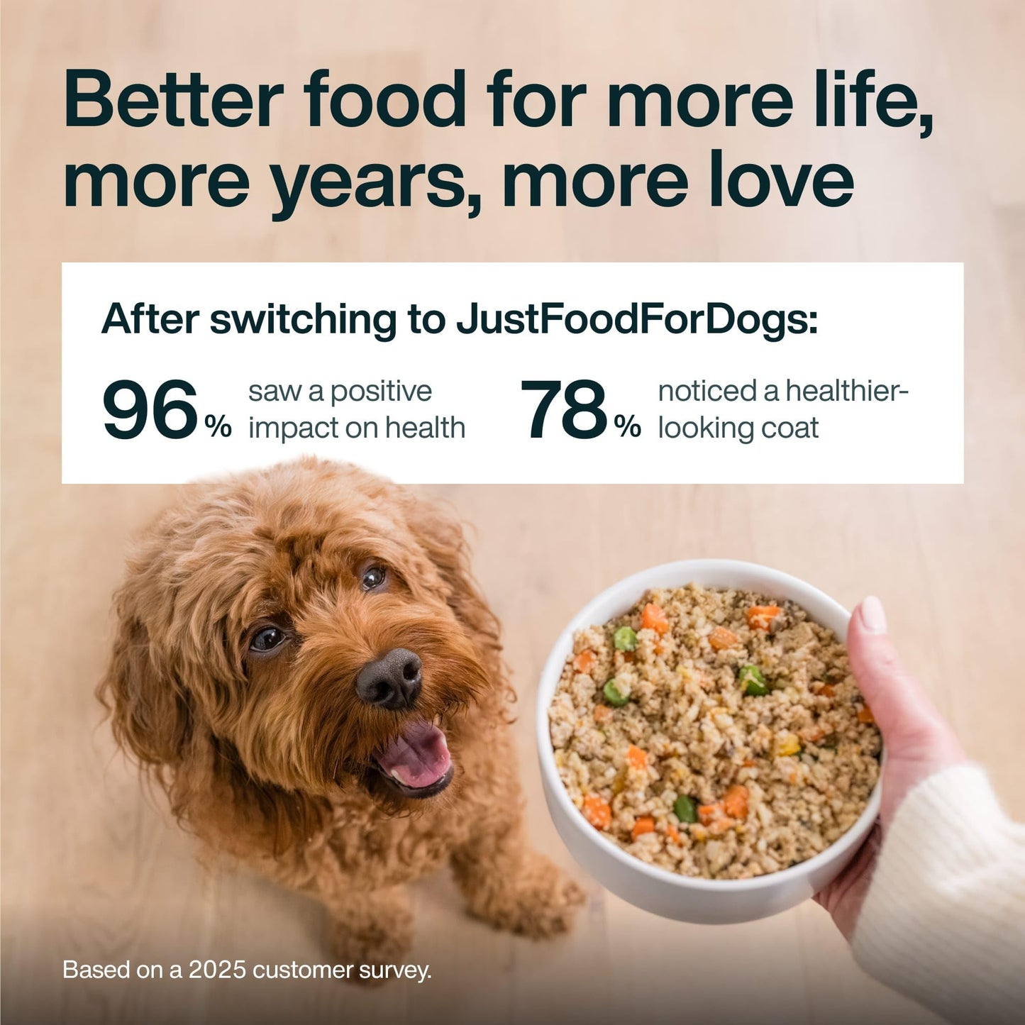 JustFoodForDogs JustFresh Wet Dog Food, Fresh Pet Meals and Toppers with No Preservatives, Resealable Package, Human Grade, Home-Cooked Chicken, 12 oz - 7 Pack