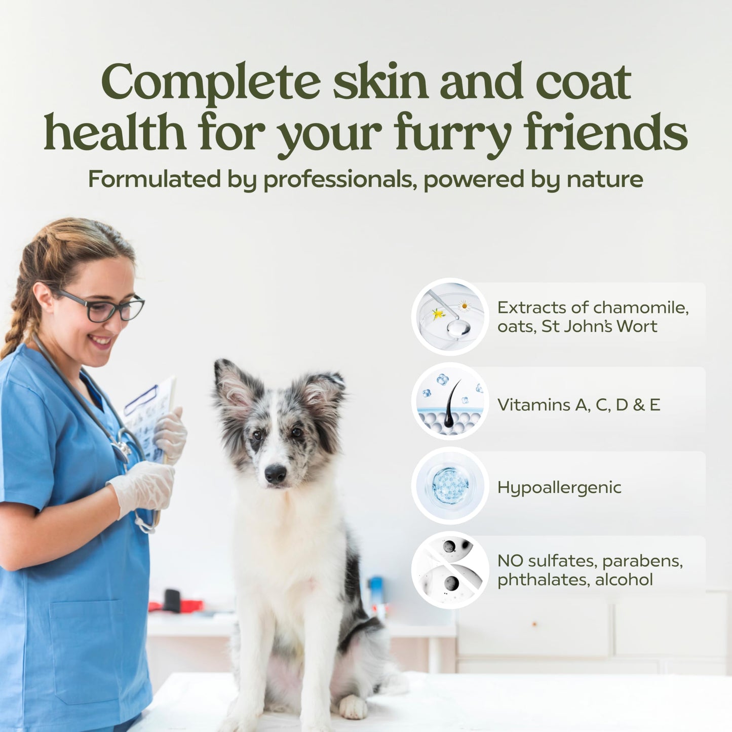 PAWFUME Deshedding Dog Shampoo and Conditioner, Show Dog, 1-Pack – Nourish & Detangle for Silky Soft Coat – Probiotic, Deep-Cleaning, pH-Balanced Formula – Salon-Quality Shampoo for Dogs