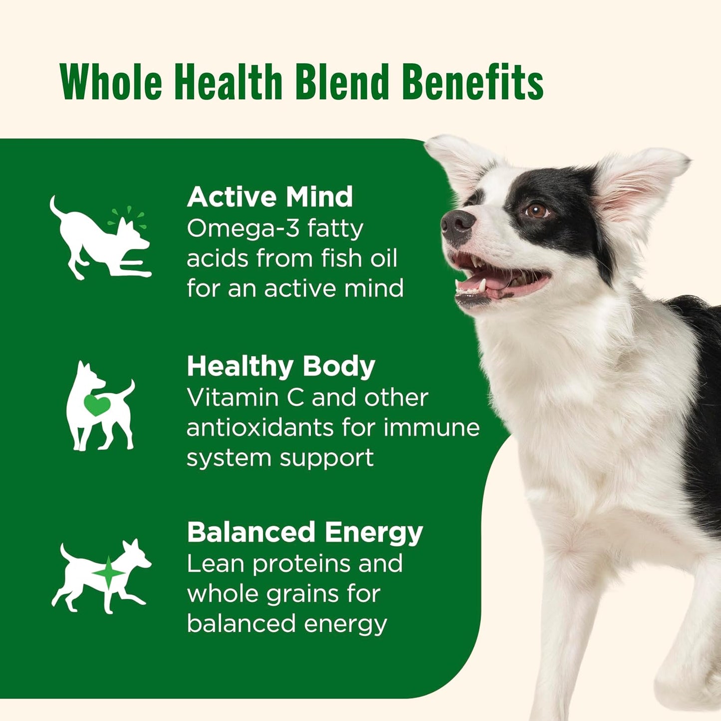 Nutrish Real Beef & Pumpkin Recipe Whole Health Blend Premium Paté Wet Dog Food, 13 oz. Can, 12 Count, Packaging May Vary (Rachael Ray)