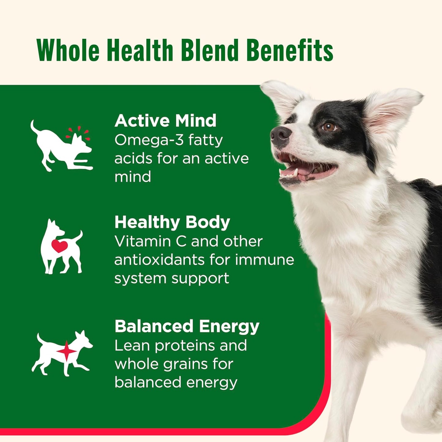 Nutrish Real Beef & Pumpkin Recipe Whole Health Blend Premium Paté Wet Dog Food, 13 oz. Can, 12 Count, Packaging May Vary (Rachael Ray)