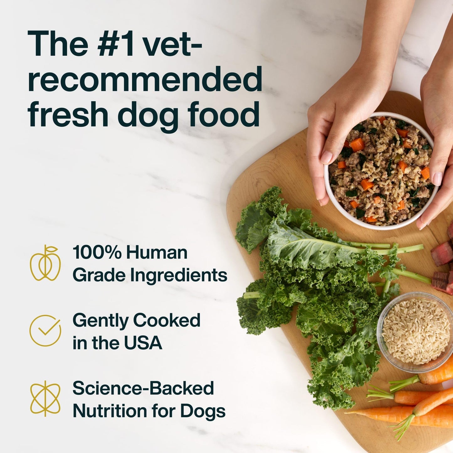 JustFoodForDogs JustFresh Wet Dog Food, Fresh Pet Meals and Toppers with No Preservatives, Resealable Package, Human Grade, Home-Cooked Chicken, 12 oz - 7 Pack