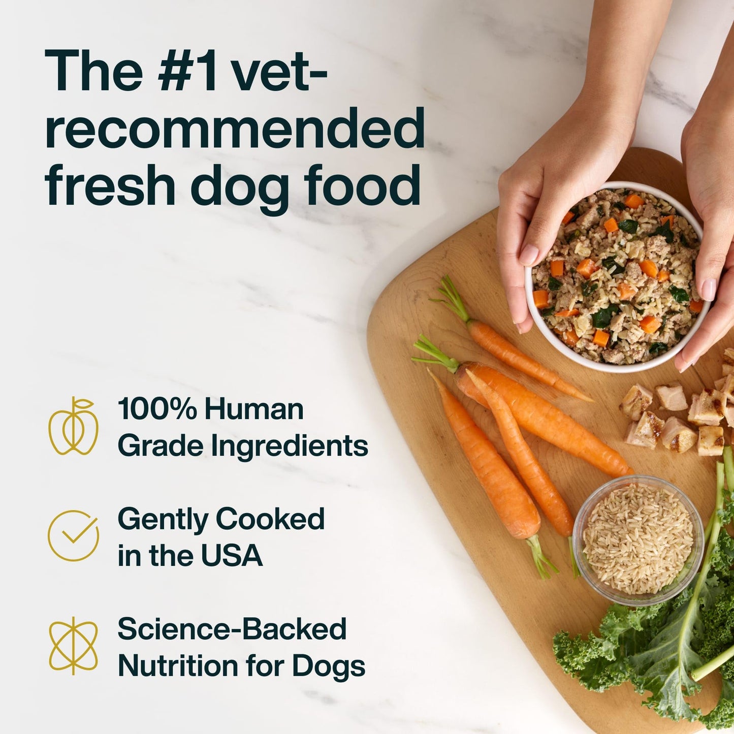 JustFoodForDogs JustFresh Wet Dog Food, Fresh Pet Meals and Toppers with No Preservatives, Resealable Package, Human Grade, Home-Cooked Chicken, 12 oz - 7 Pack