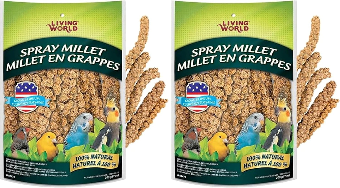 Living World - Millet Spray for Birds, 3.5 Oz – Premium Treat for Budgies, Canaries, Finches, Cockatiels and Other Pet Birds