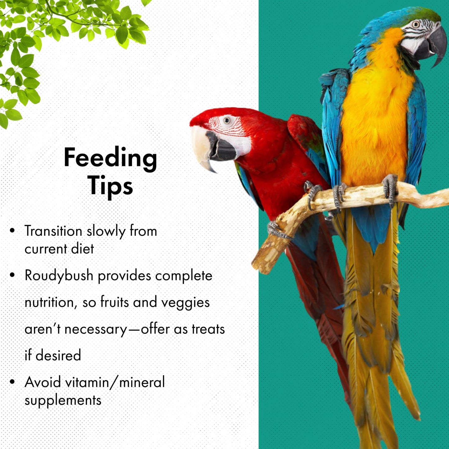 RoudyBush Daily Maintenance Food for Birds, Bird Food with Corn, Wheat & Soy, Complete Daily Feed for Parakeets, Cockatiels, Conures, Lovebirds & Other Small Medium Species, Crumble Pellets, 8 OZ