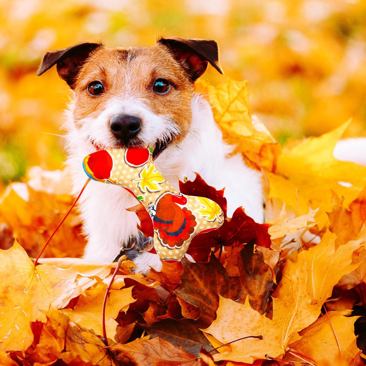 6 Pcs Fall Dog Toys Bone Shaped Thanksgiving Dog Chew Toy