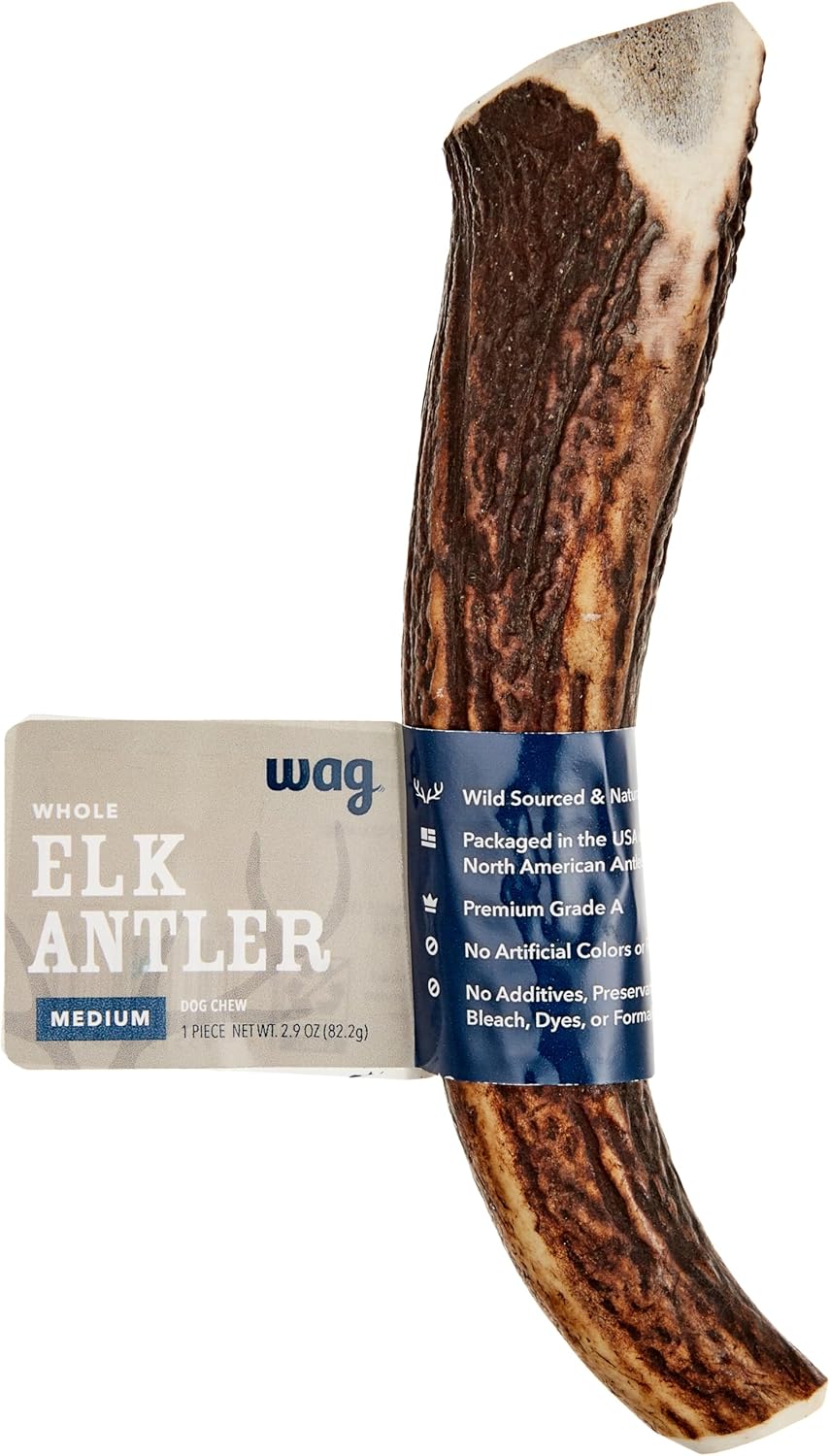 Amazon Brand - Wag Dog Elk Antler Chew, Naturally Shed, Whole, Large 8-9.5 inches, Long Lasting for Aggressive Chewers, Best for Dogs 30-45 lbs, 3.60 Ounce (Pack of 1)