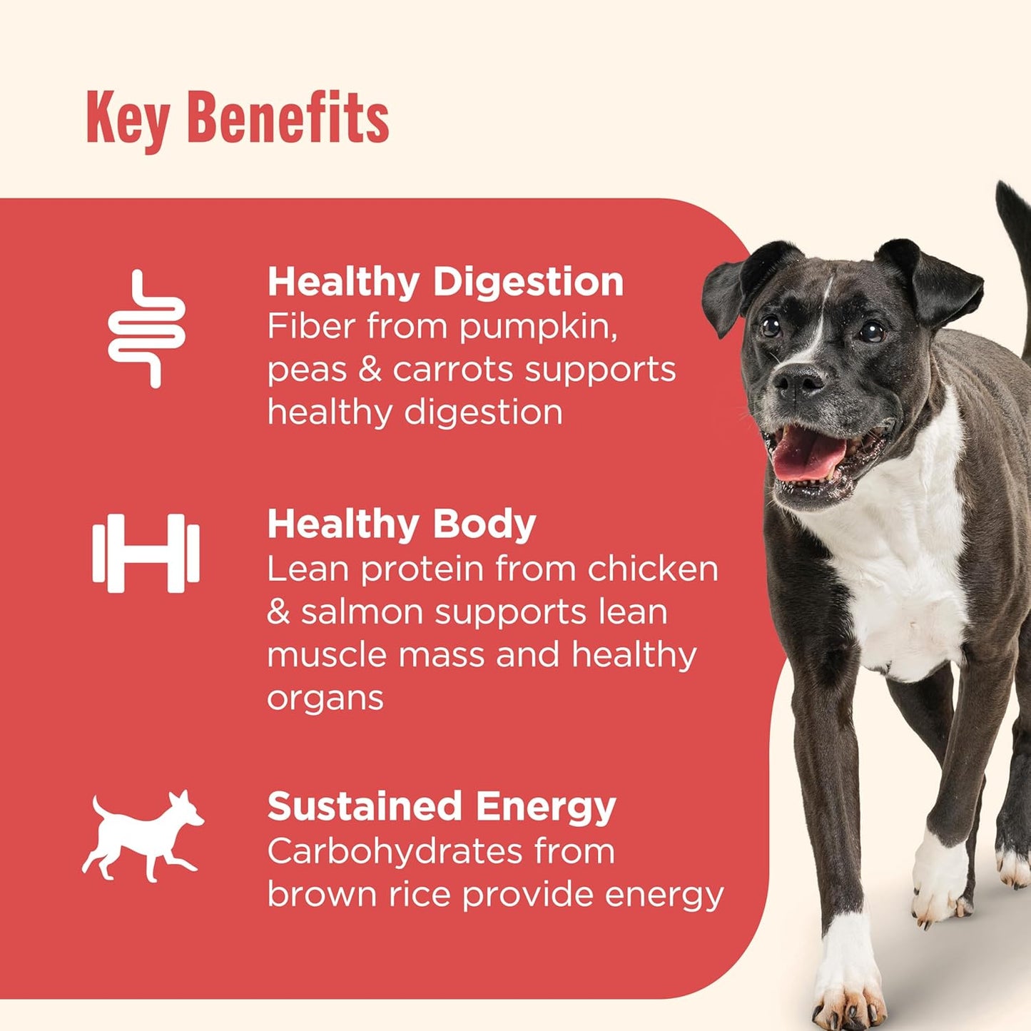 Nutrish Real Beef & Pumpkin Recipe Whole Health Blend Premium Paté Wet Dog Food, 13 oz. Can, 12 Count, Packaging May Vary (Rachael Ray)
