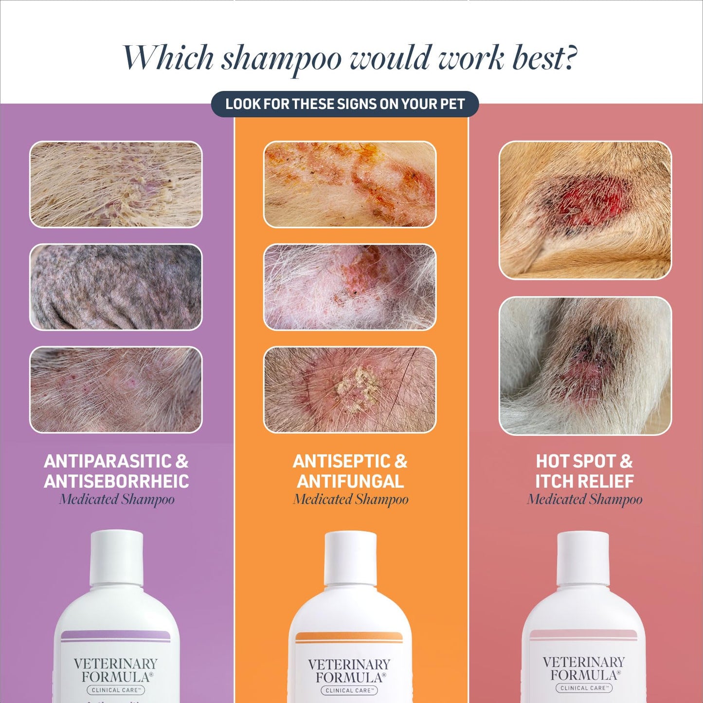 Veterinary Formula Clinical Care Antiseptic & Antifungal Medicated Shampoo and Spray for Dogs and Cats - Helps Alleviate Scaly, Greasy, or Red Skin - Paraben, Dye, and Soap Free, 2 Pack Bundle