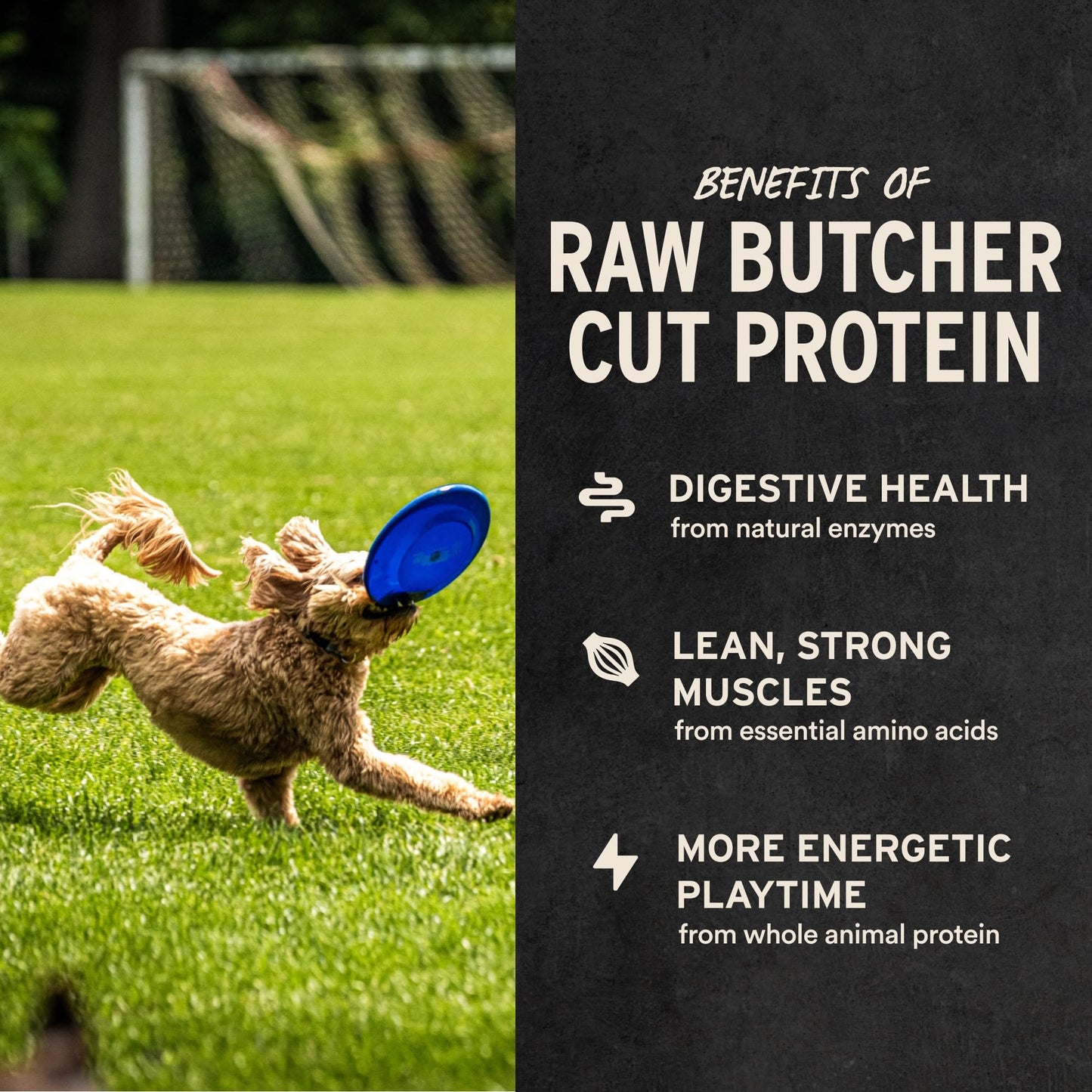 Vital Essentials Freeze Dried Raw Chicken Necks Dog Treats | Single Ingredient | Premium Quality | Grain Free Treats for Dogs, 9 oz Bag