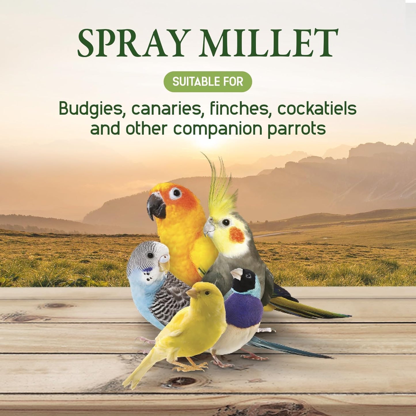Living World - Millet Spray for Birds, 3.5 Oz – Premium Treat for Budgies, Canaries, Finches, Cockatiels and Other Pet Birds