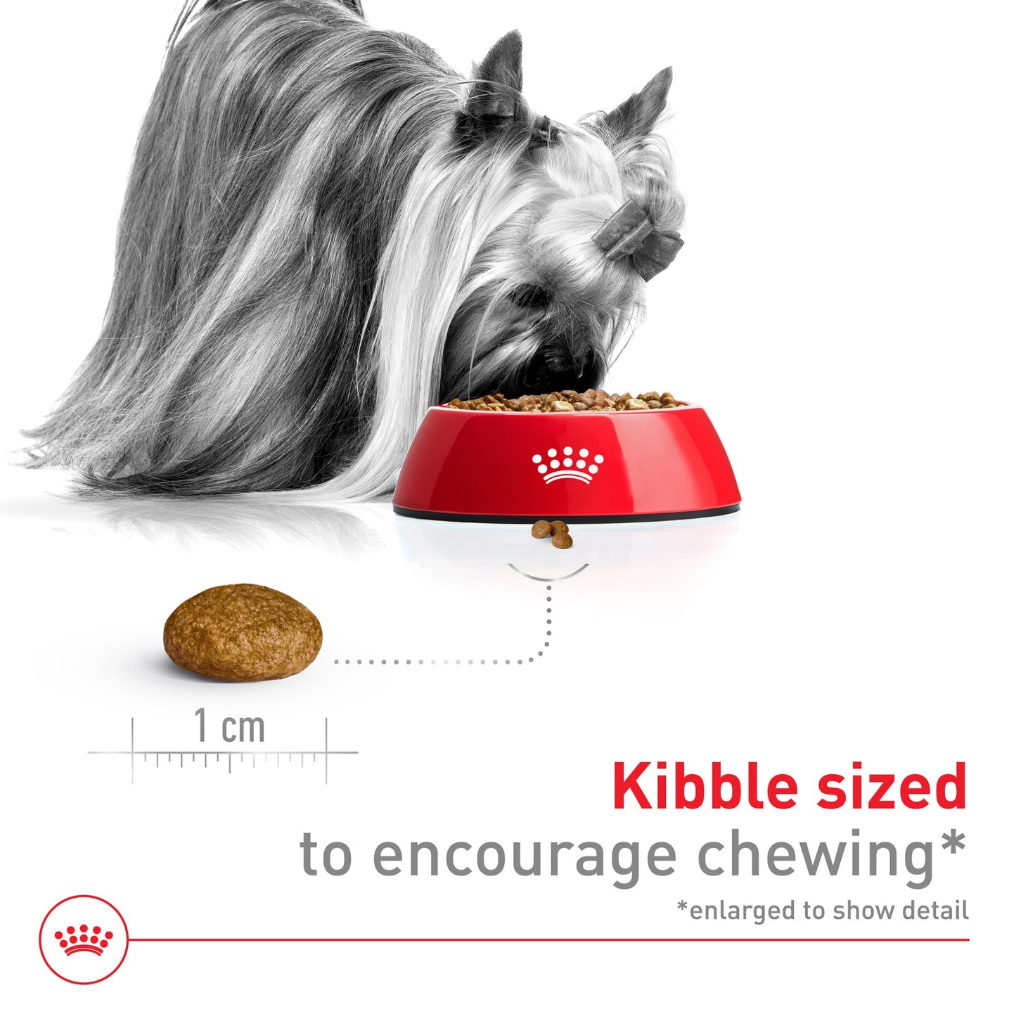 Royal Canin Size Health Nutrition X-Small 7+ Adult Dry Dog Food, 2.5 lb Bag