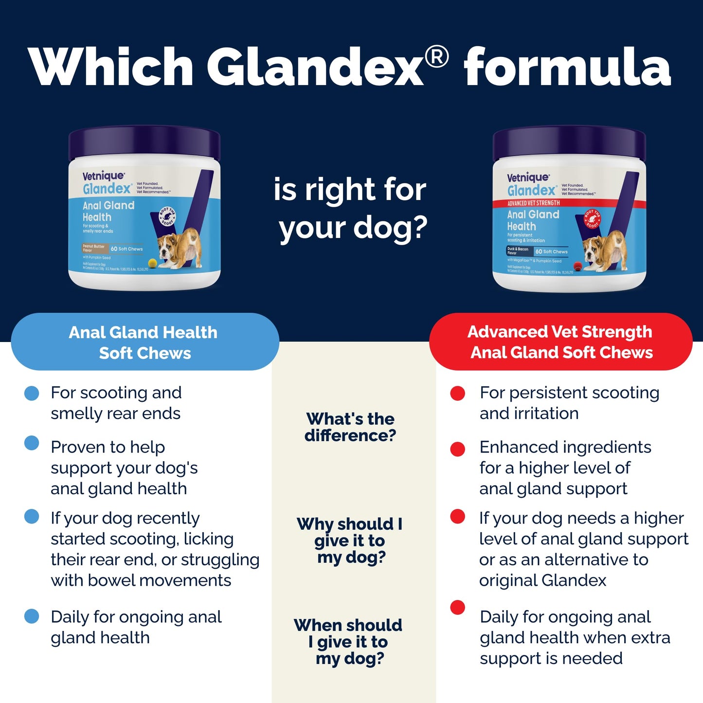 Vetnique Glandex Anal Gland Soft Chew Treats with Pumpkin for Dogs Digestive Enzymes, Probiotics Fiber Supplement for Dogs Boot the Scoot (30ct, Peanut Butter Chews)