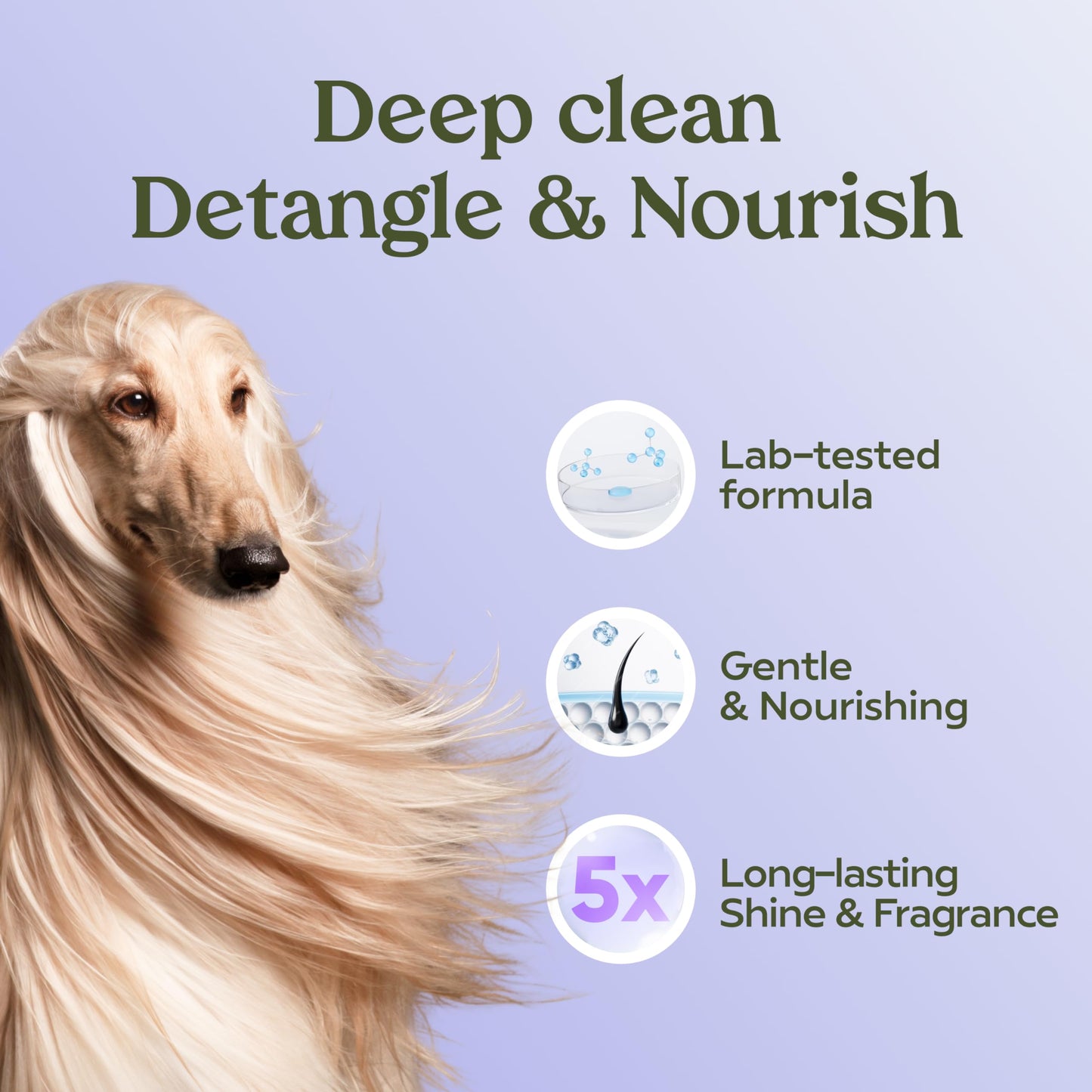 PAWFUME Deshedding Dog Shampoo and Conditioner, Show Dog, 1-Pack – Nourish & Detangle for Silky Soft Coat – Probiotic, Deep-Cleaning, pH-Balanced Formula – Salon-Quality Shampoo for Dogs
