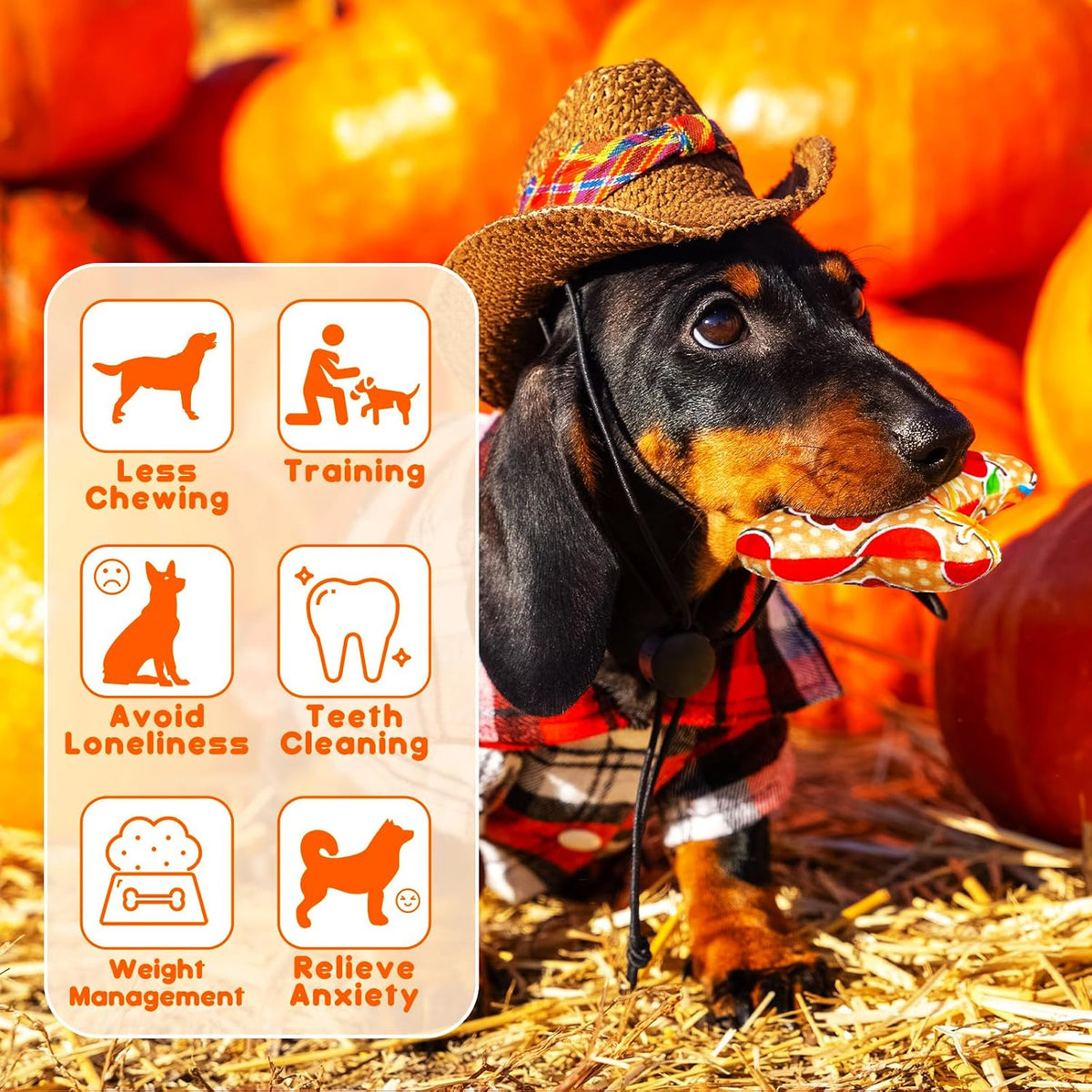6 Pcs Fall Dog Toys Bone Shaped Thanksgiving Dog Chew Toy