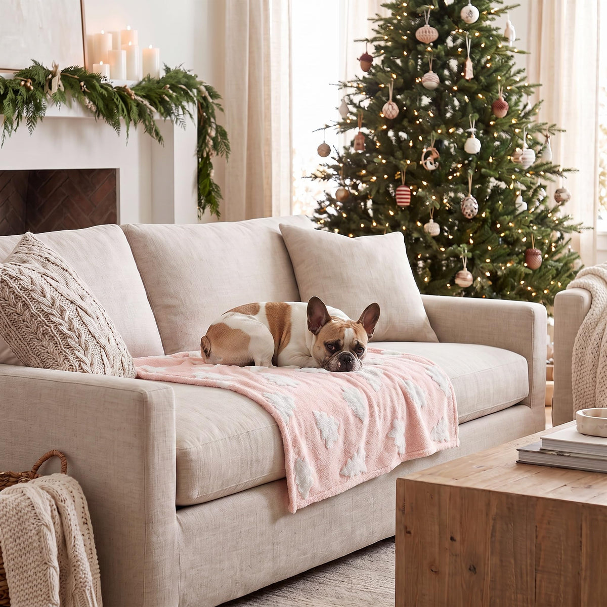 Horaldaily Red Christmas Trees Shape 3D Textured Pets Blanket 20x30